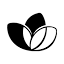 GPT Image 2图标