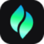 Verdent AI图标